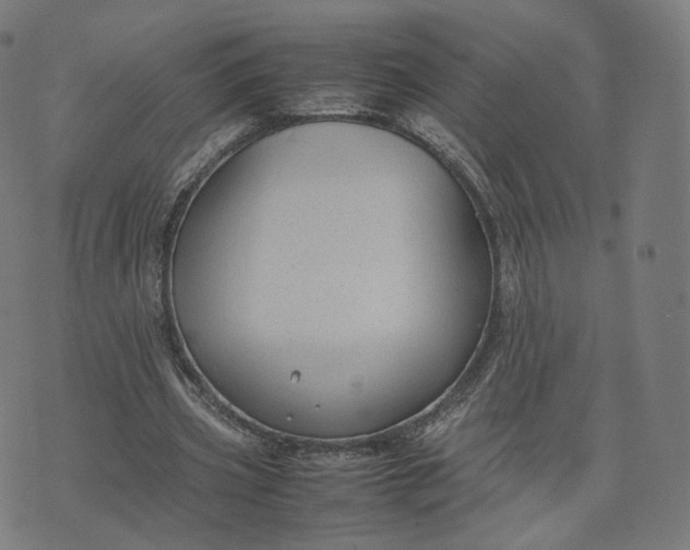 X0000070370533200606231650