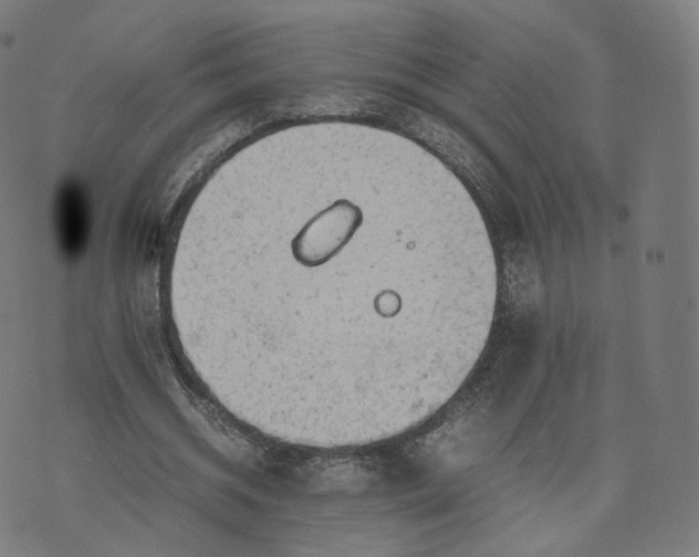 X0000070370534200606231650