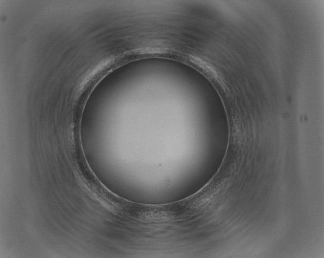 X0000070370535200606231650