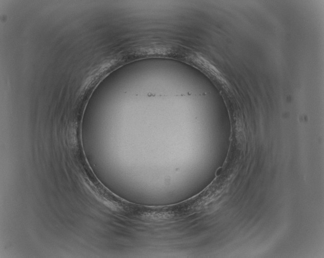 X0000070370537200606231650