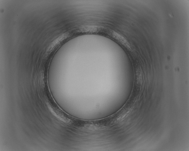 X0000070370538200606231650