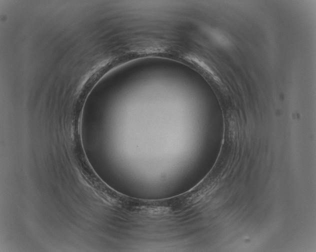 X0000070370539200606231650