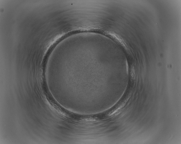 X0000070370540200606231650