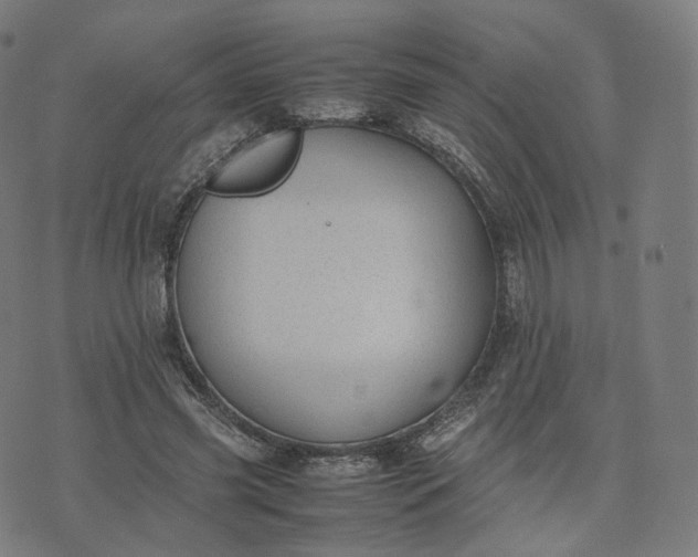 X0000070370541200606231650