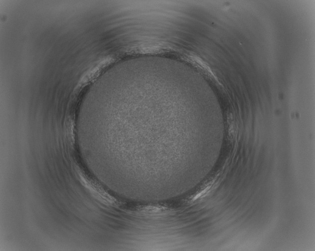 X0000070370542200606231650