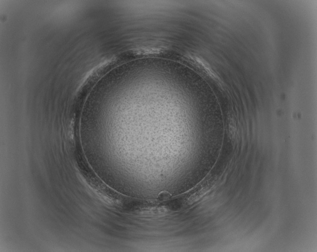 X0000070370543200606231650