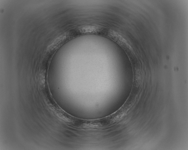 X0000070370545200606231650