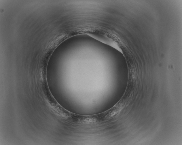 X0000070370546200606231650