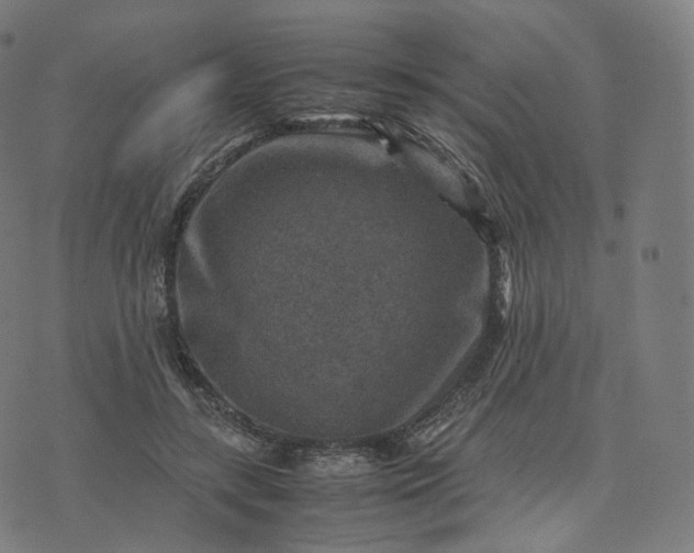 X0000070370547200606231650