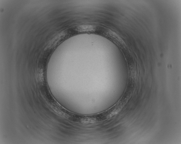 X0000070370549200606231650