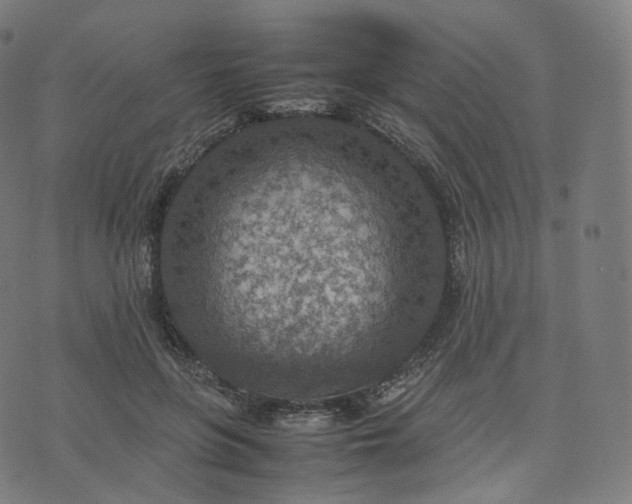 X0000070370551200606231650