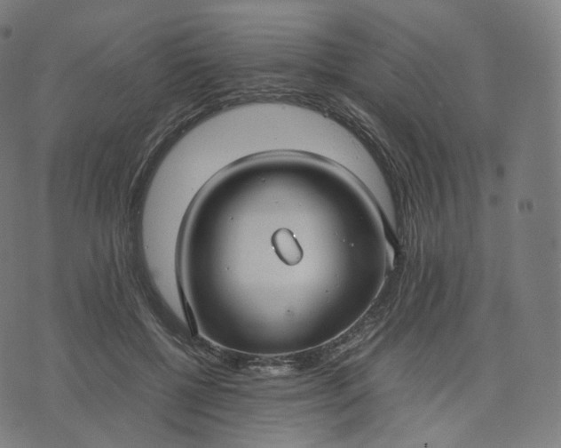 X0000070370552200606231650