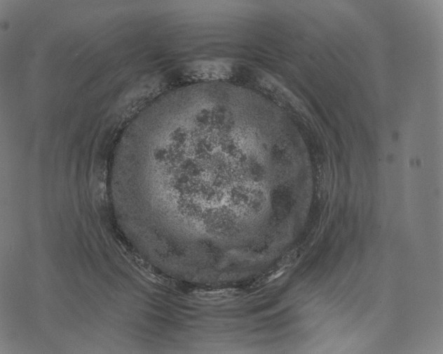 X0000070370553200606231650