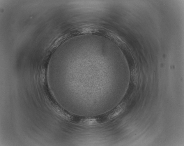 X0000070370554200606231650