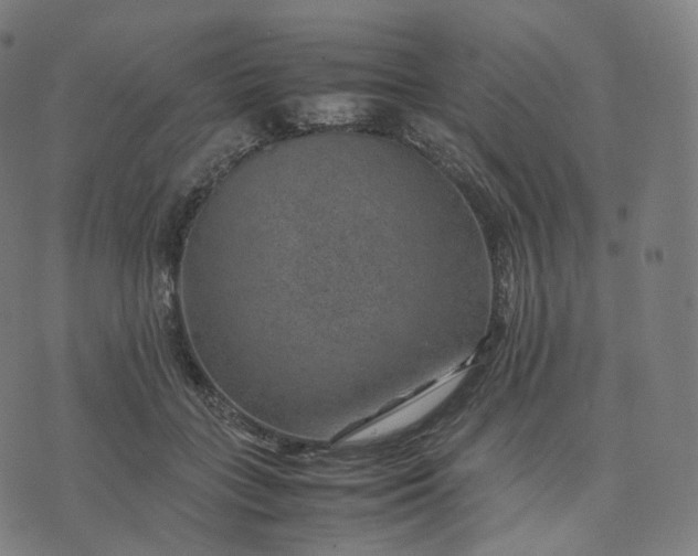 X0000070370555200606231650