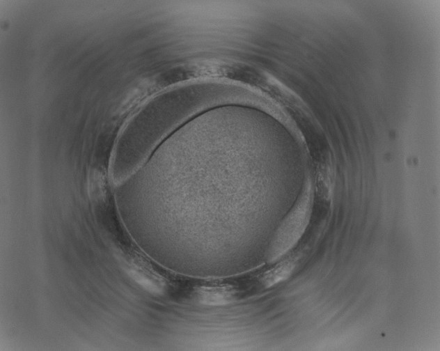 X0000070370556200606231650