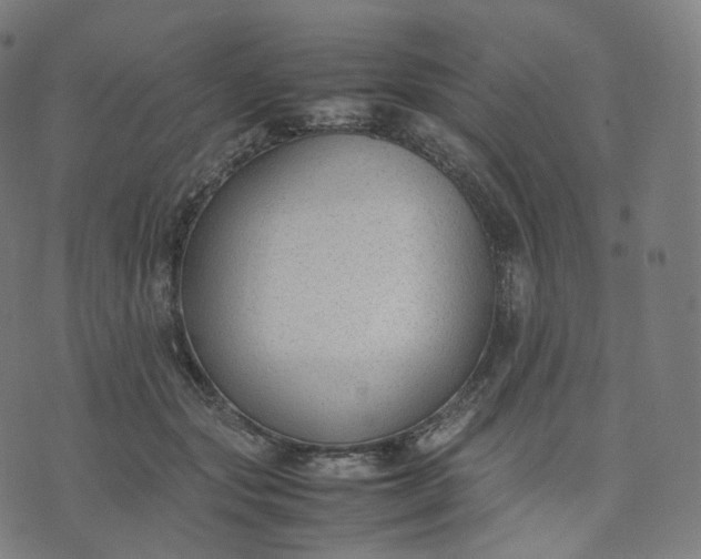 X0000070370557200606231650