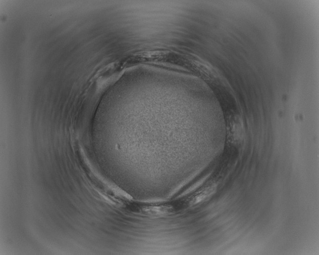 X0000070370558200606231650