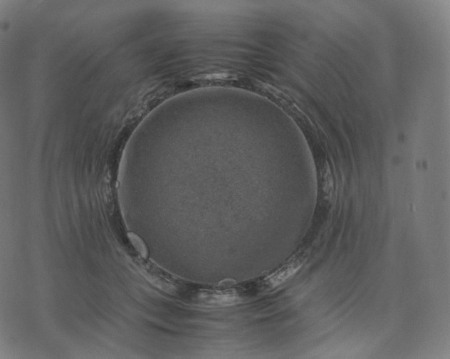 X0000070370559200606231650