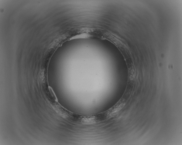 X0000070370560200606231650