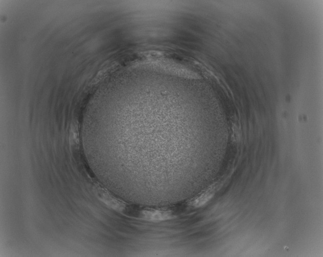 X0000070370561200606231650