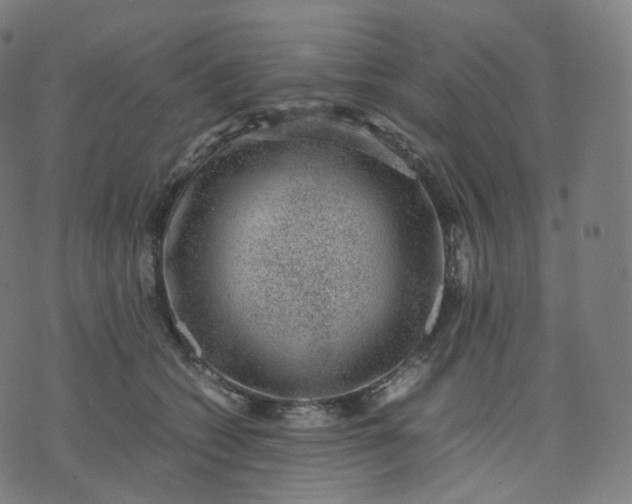 X0000070370562200606231650