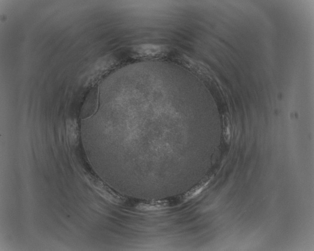 X0000070370563200606231650