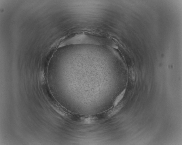 X0000070370564200606231650