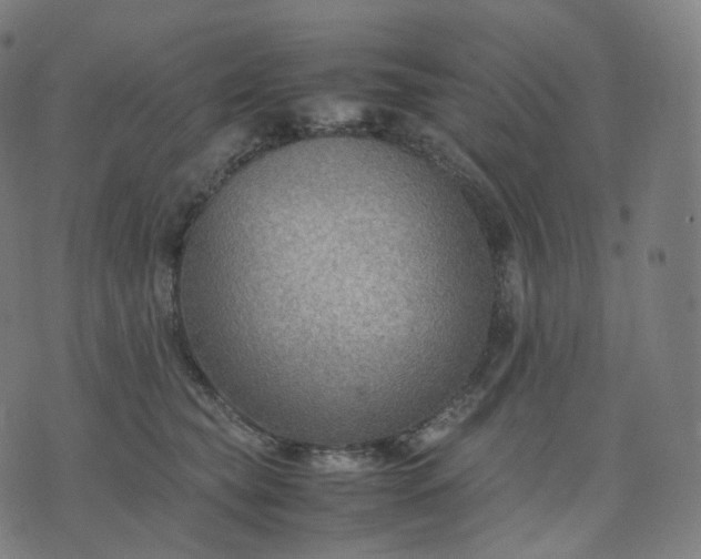 X0000070370565200606231650