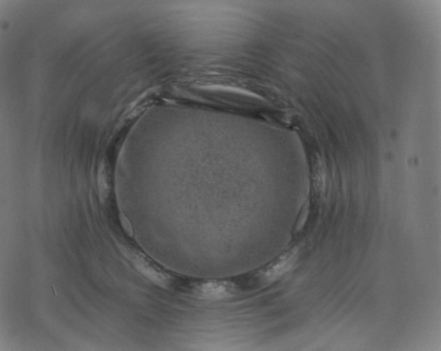 X0000070370566200606231650