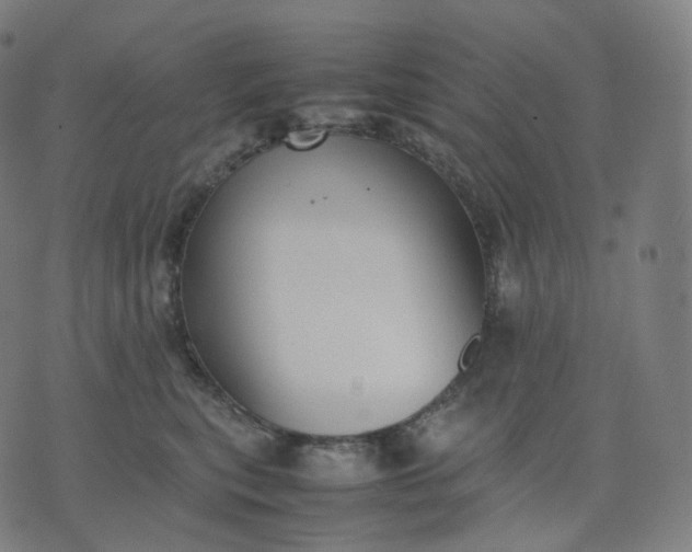 X0000070370567200606231650