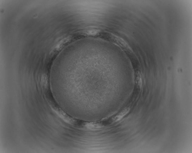 X0000070370568200606231650