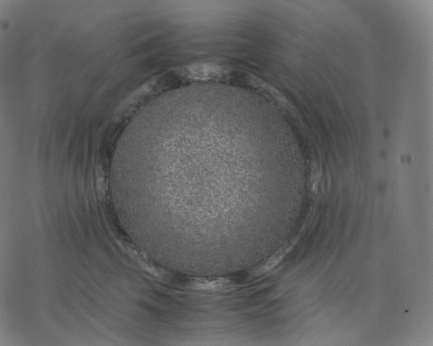 X0000070370569200606231650