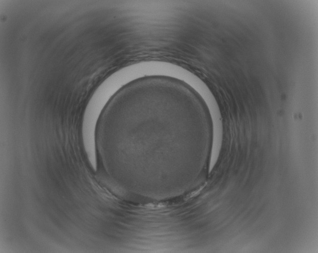 X0000070370570200606231650