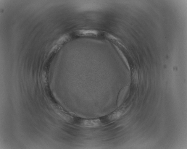 X0000070370571200606231650