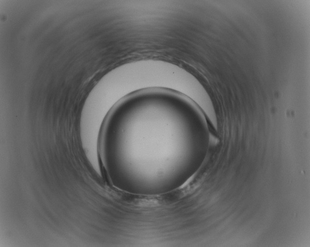 X0000070370572200606231650