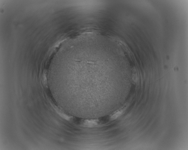 X0000070370573200606231650