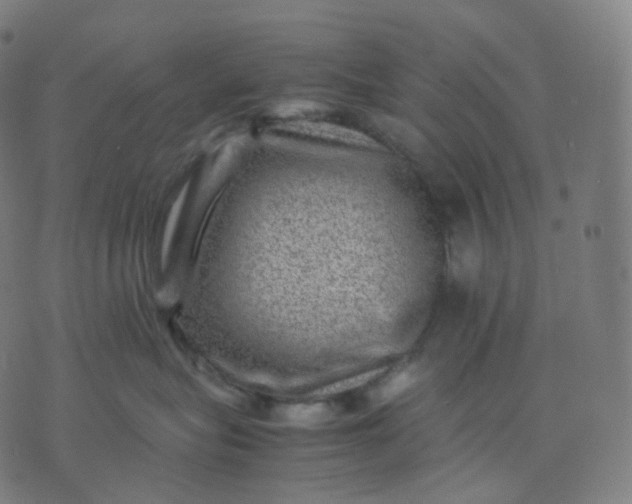 X0000070370575200606231650