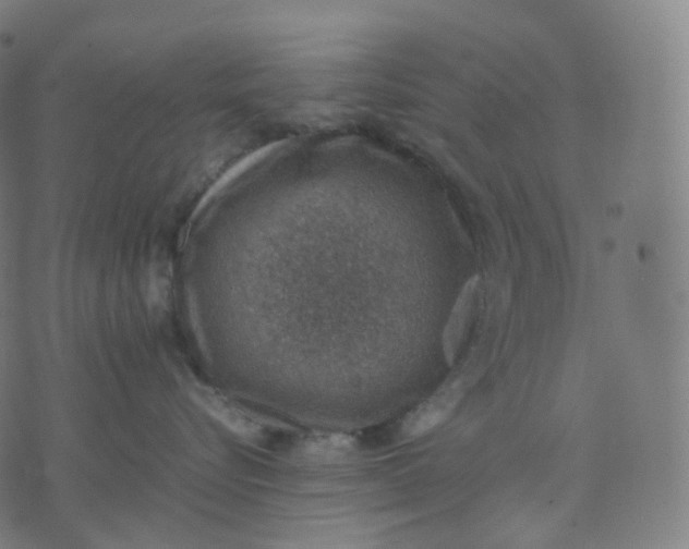 X0000070370576200606231650