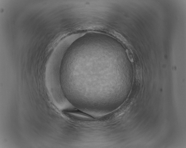 X0000070370577200606231649