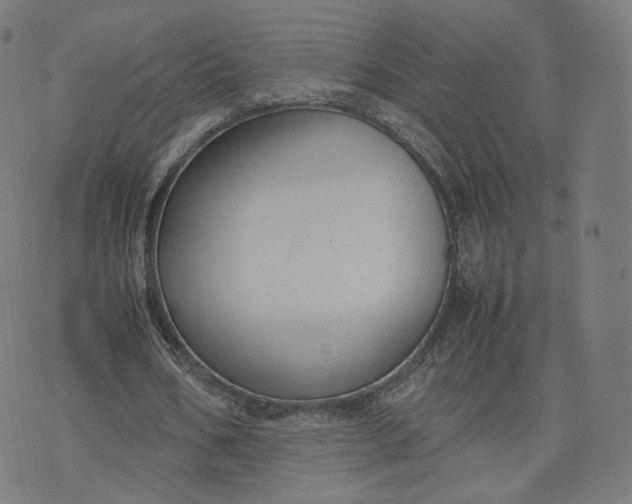 X0000070370578200606231649