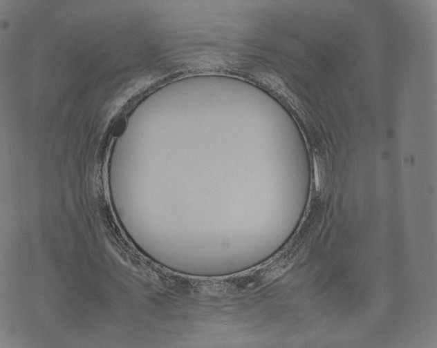 X0000070370579200606231649