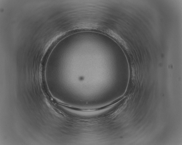 X0000070370580200606231649