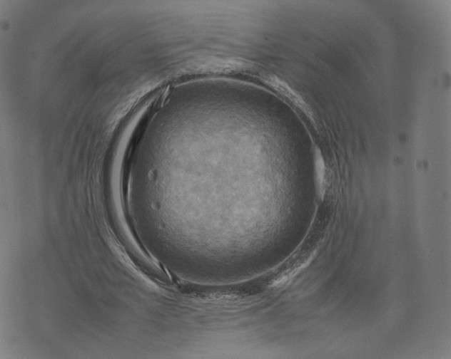 X0000070370581200606231649