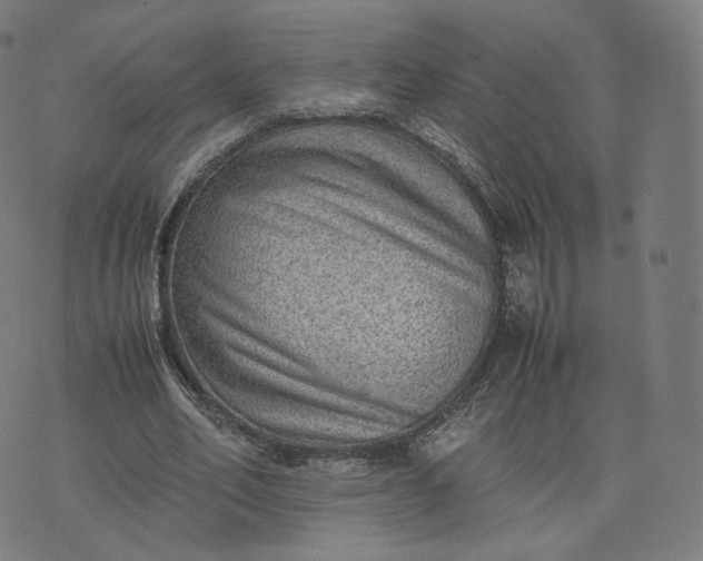 X0000070370582200606231649