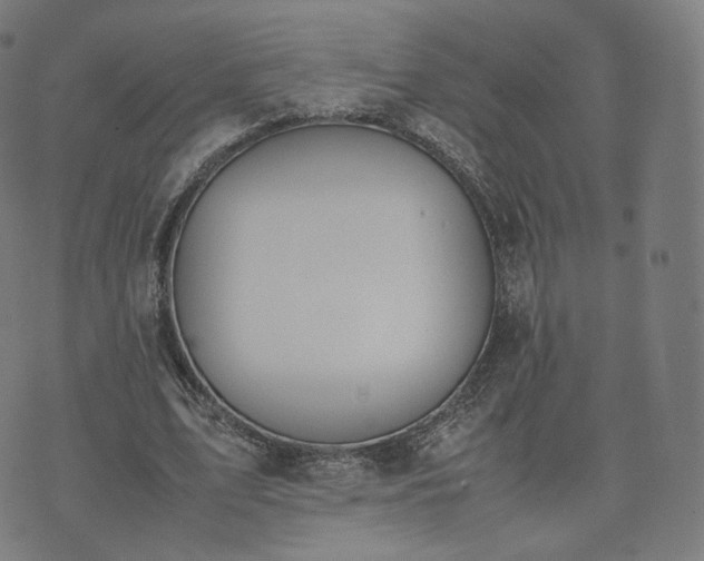 X0000070370583200606231649