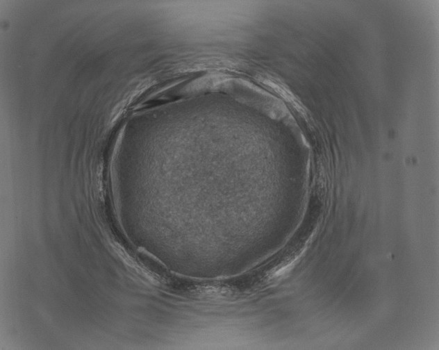 X0000070370585200606231649