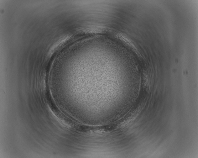 X0000070370586200606231649