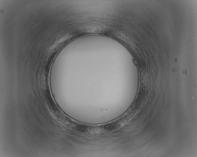 X0000070370587200606231649