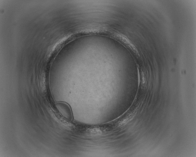 X0000070370588200606231649